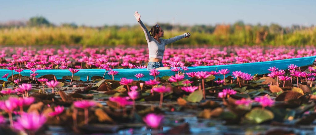 Guía de las estaciones de floración en Tailandia