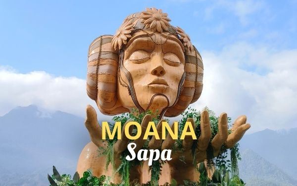 Moana Sapa: ¿Qué esperar y cómo llegar?