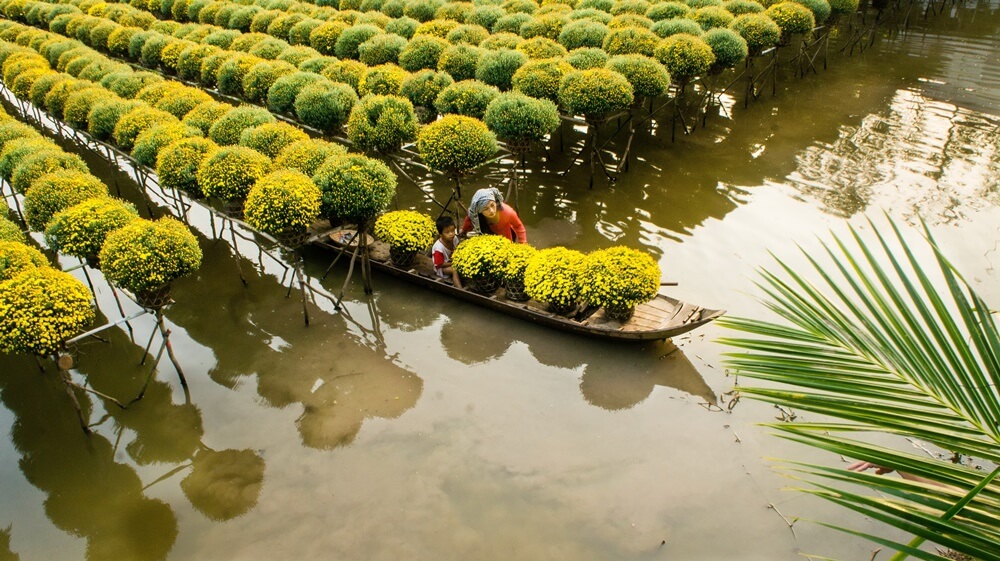 Sadec Vietnam: la ciudad colonial en el sur que le sorprenderá