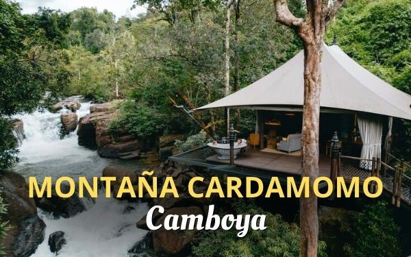 Montañas Cardamomo: naturaleza salvaje y lujo escondido en Camboya
