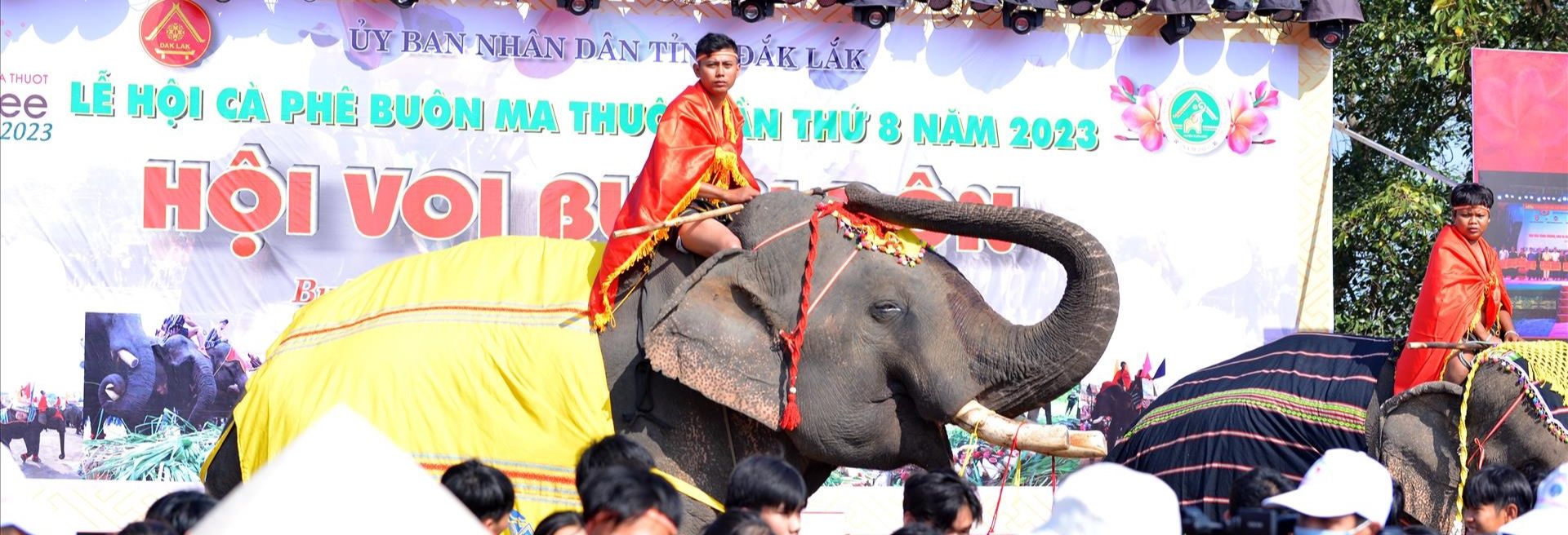 El Festival del Elefante en las Tierras Altas Centrales de Vietnam