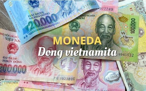 Dong vietnamita: Todo lo que los viajeros deben saber