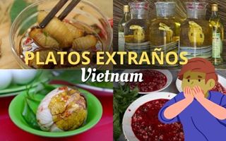 Qué no comer en Vietnam: 10 platos extraños que nunca has visto antes