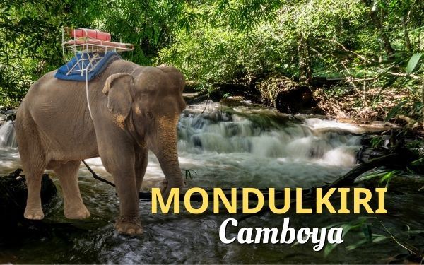 Guía de Mondulkiri: explora las tierras altas camboyanas