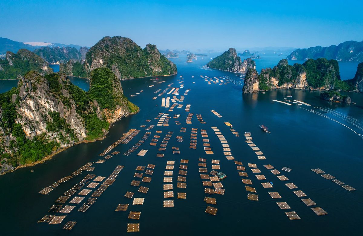 Bai Tu Long: ¿Cuál es su relación con la bahía de Ha Long?