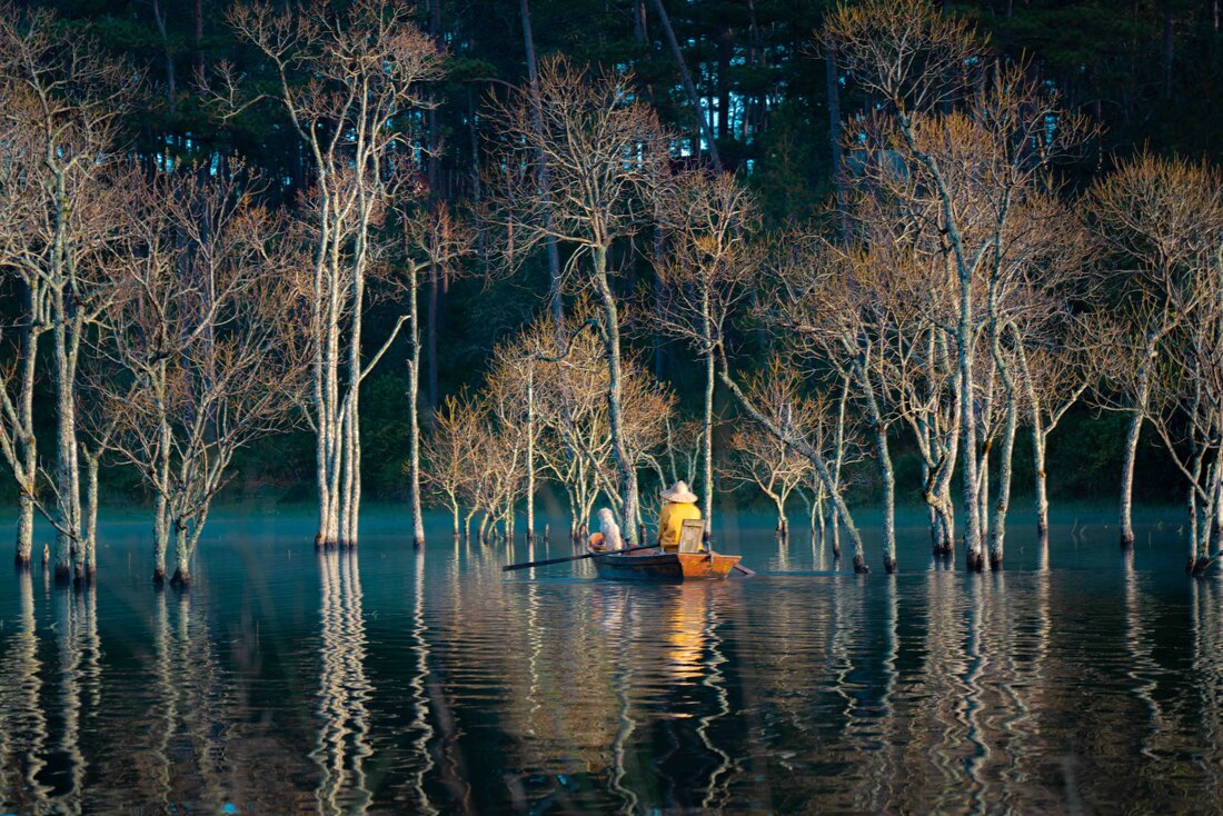 Suoi Tia – Un otoño dorado en las tierras altas de Da Lat
