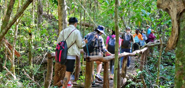 Parque Nacional de Phu Quoc: 4 mejores rutas de senderismo