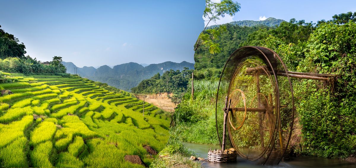 Reserva natural Pu Luong: la joya en el norte de Vietnam