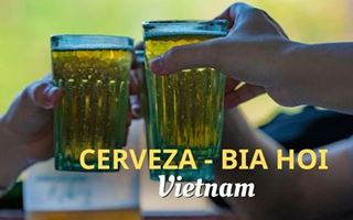 Cerveza vietnam Bia Hoi: ¿Cómo disfrutarla como un local?