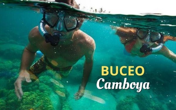 Buceo en Camboya: Actividades, tarifas 2026 y mejores sitios