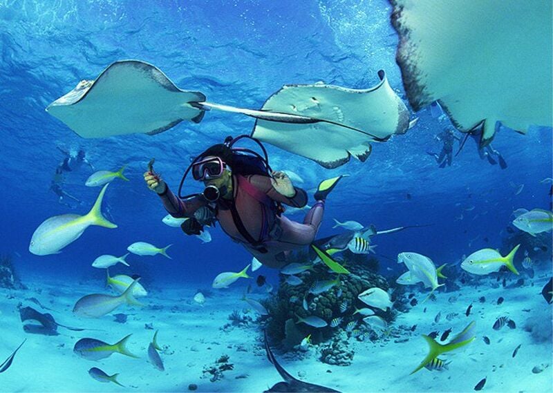 buceo en koh samui