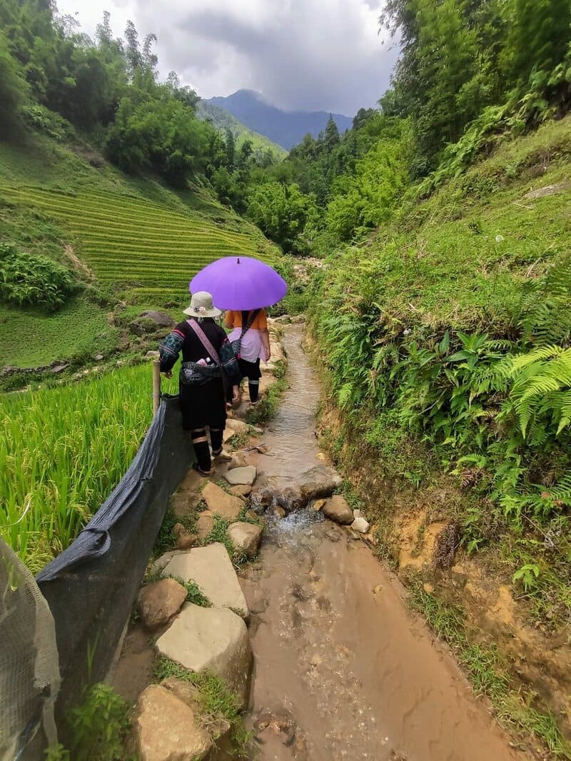 trekking en lao chai sapa