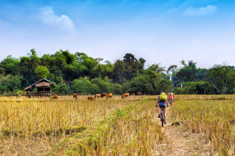 bicicleta en vang vieng