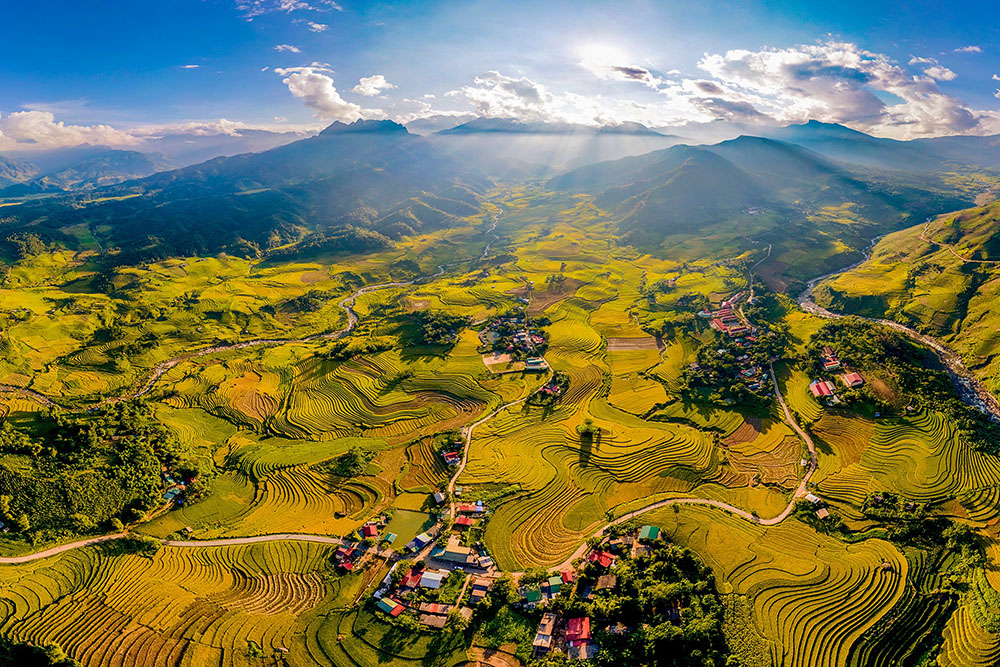 arrozales en sapa