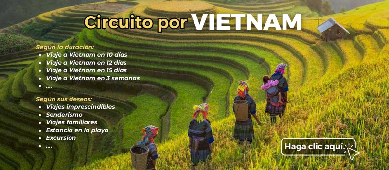 circuito por vietnam