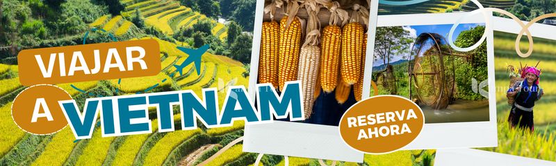circuitos por vietnam