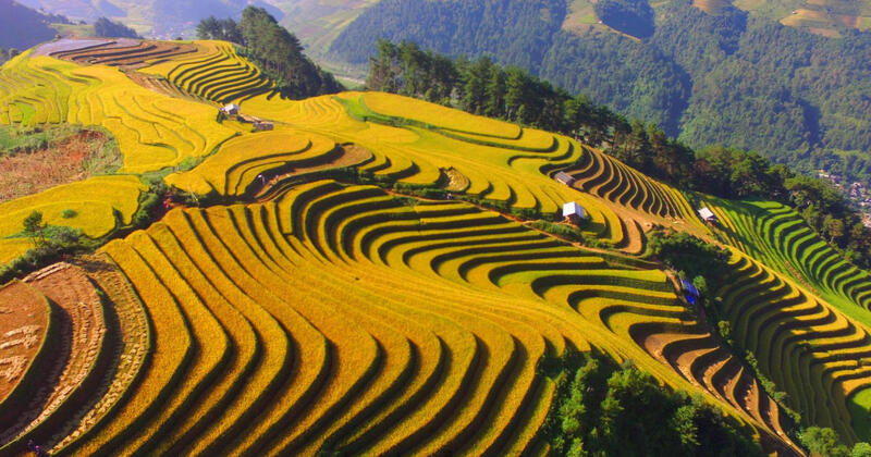 vietnam en agosto - sapa
