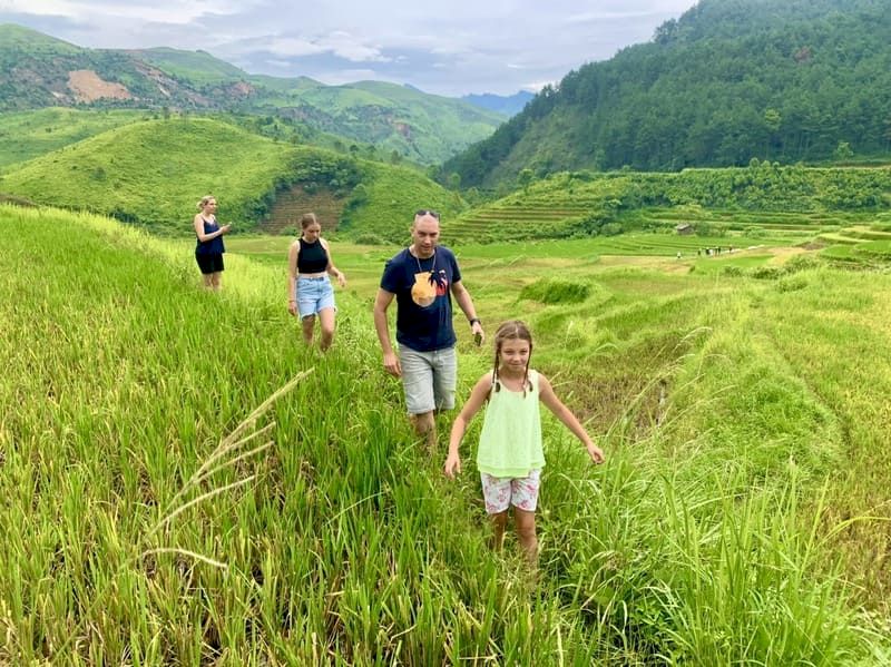vietnam del norte - arrozales vietnam
