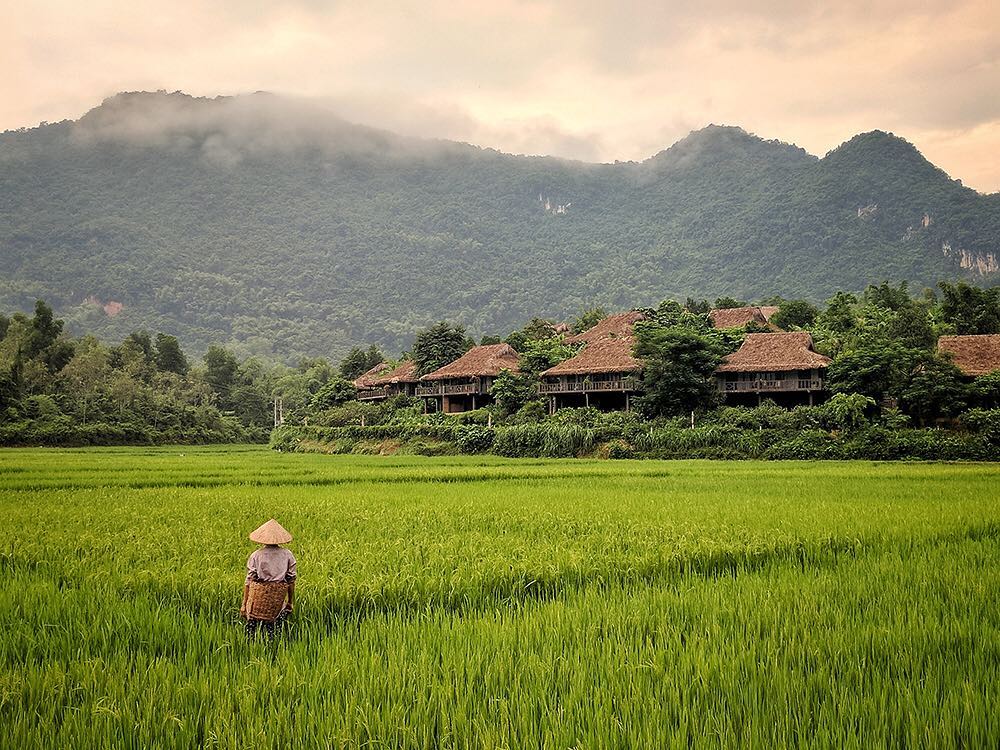 mai chau