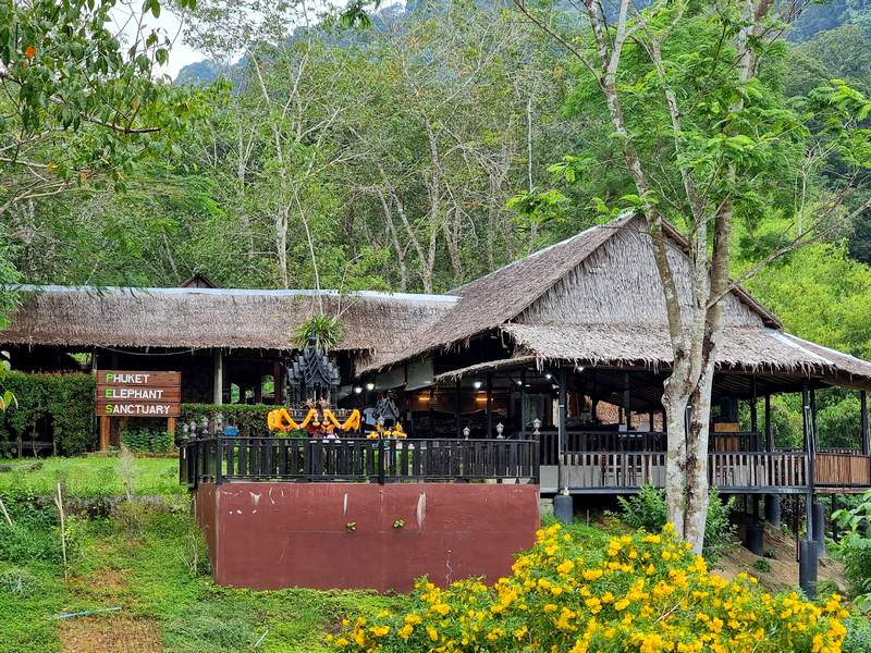 santuario de elefantes en phuket