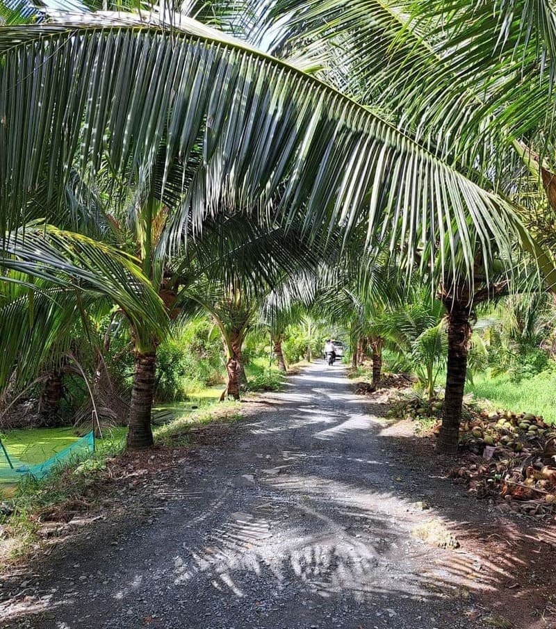 paisaje en tra vinh