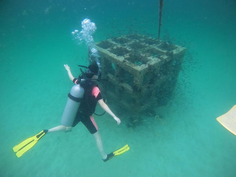 buceo en koh koun