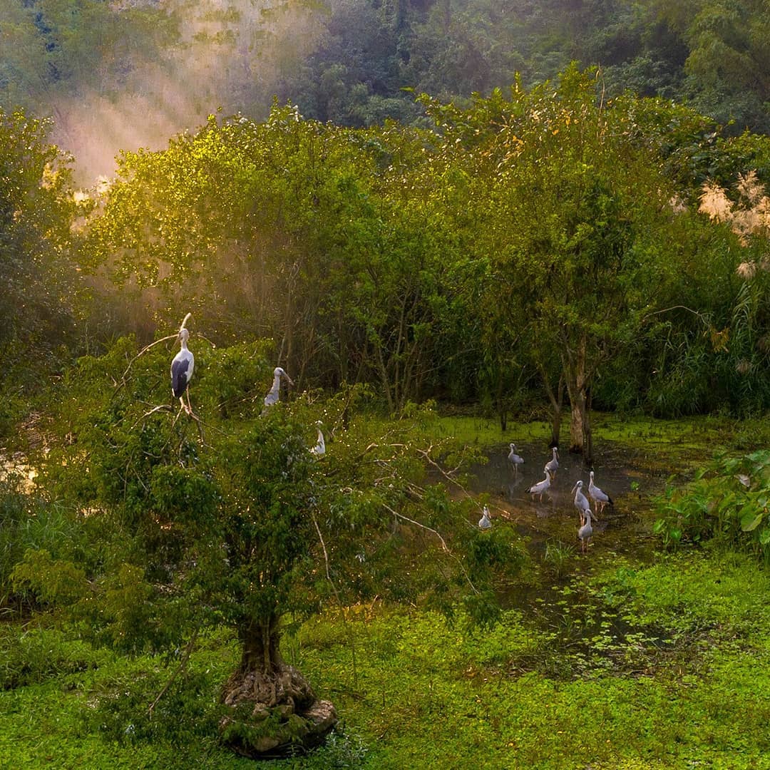 ninh binh - Parque Thung Nham 
