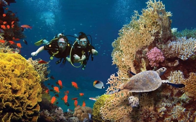 Buceo en Phu Quoc