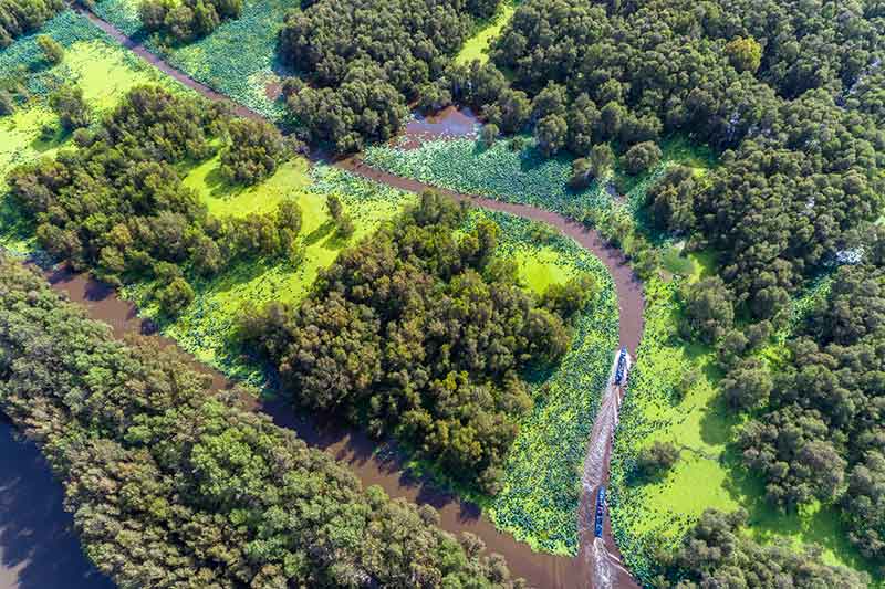bosque de Tra Su