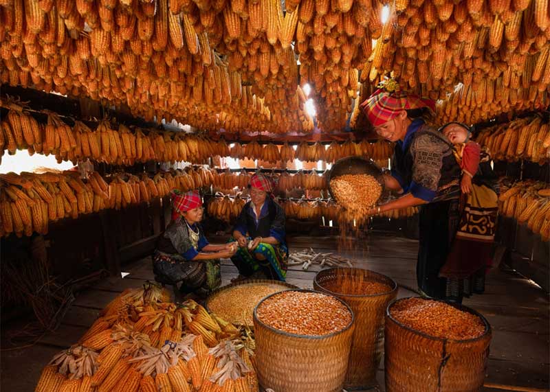 etnias de vietnam mejor hmong