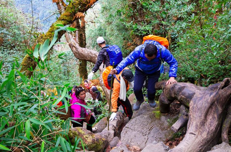 trekking en fansipan sapa  vietnam en 15 dias