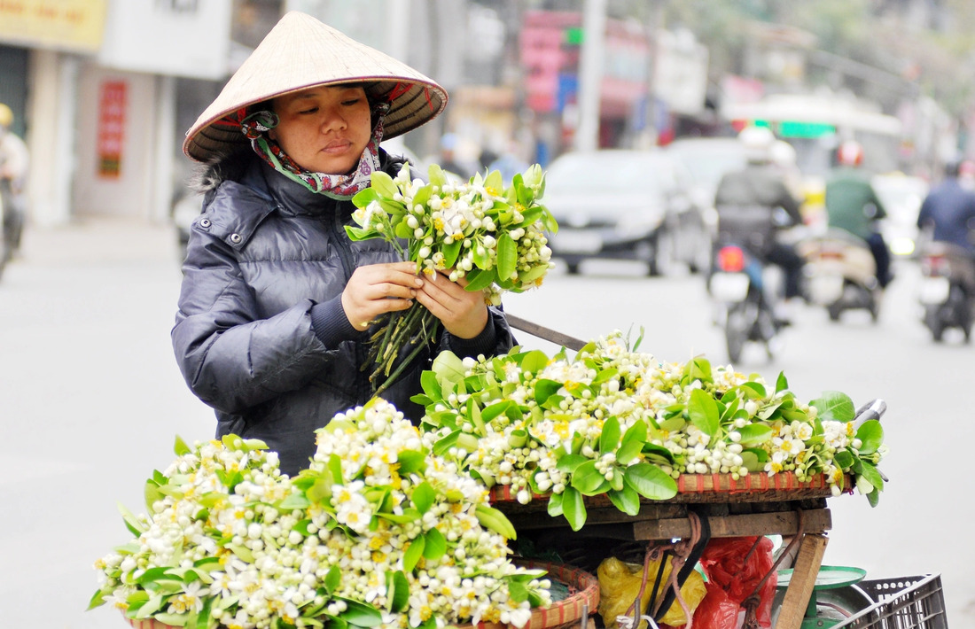 hanoi