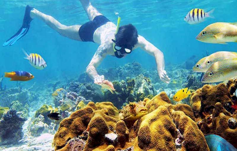 isla cham vietnam