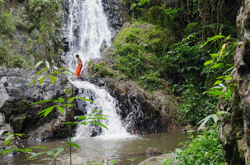 naturaleza de krabi