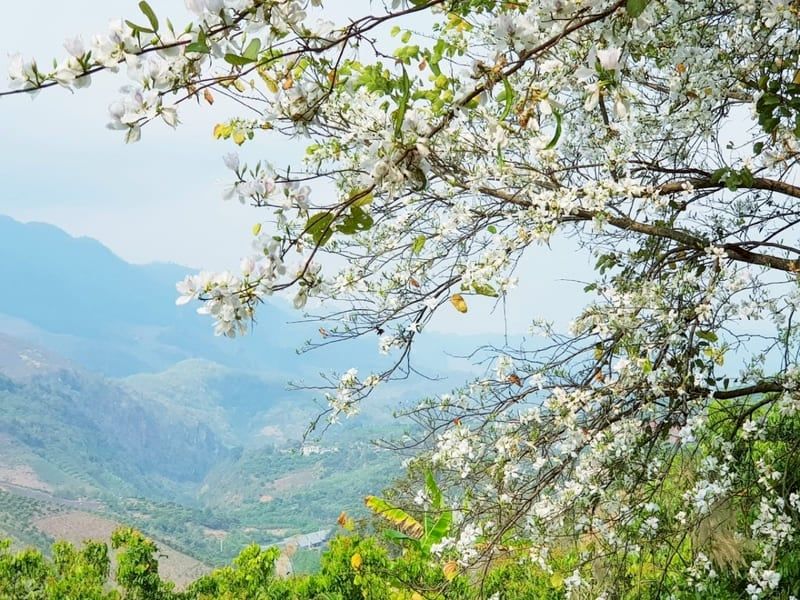 la mejor epoca para viajar a mai chau