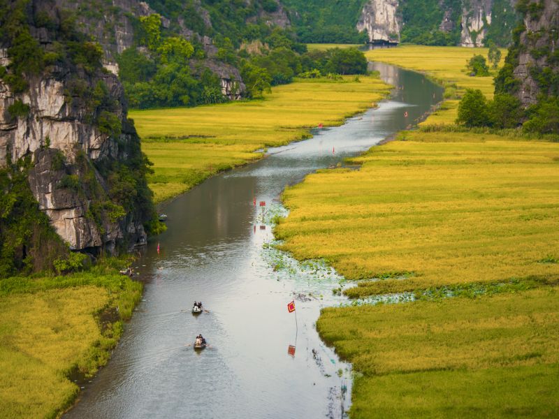 campos en tam coc ninh binh