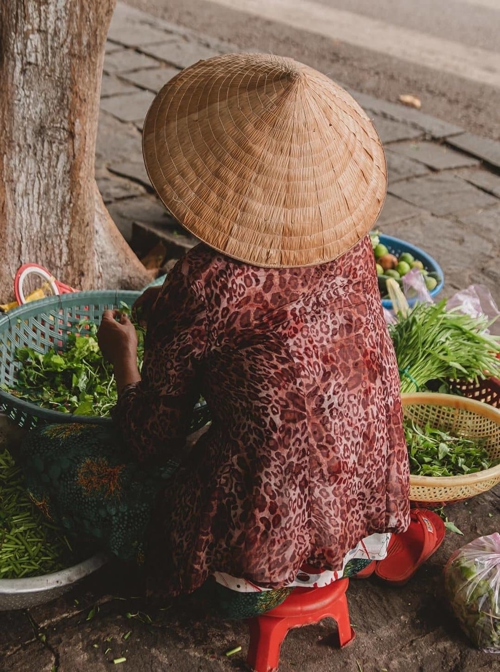 non la vietnamita