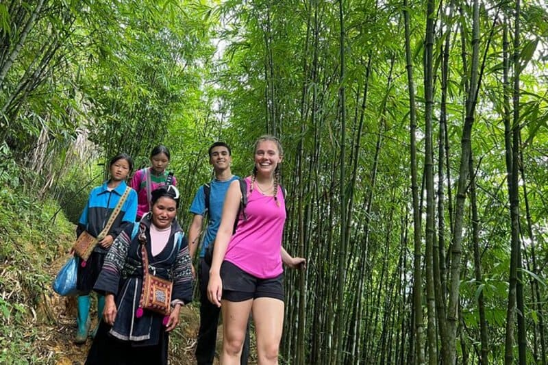 valle muong hoa - bosque de bambu