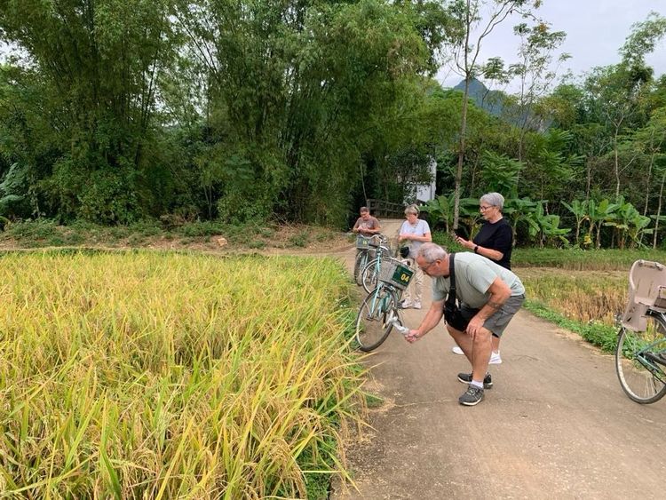 nuestros viajeros en arrozales de vietnam