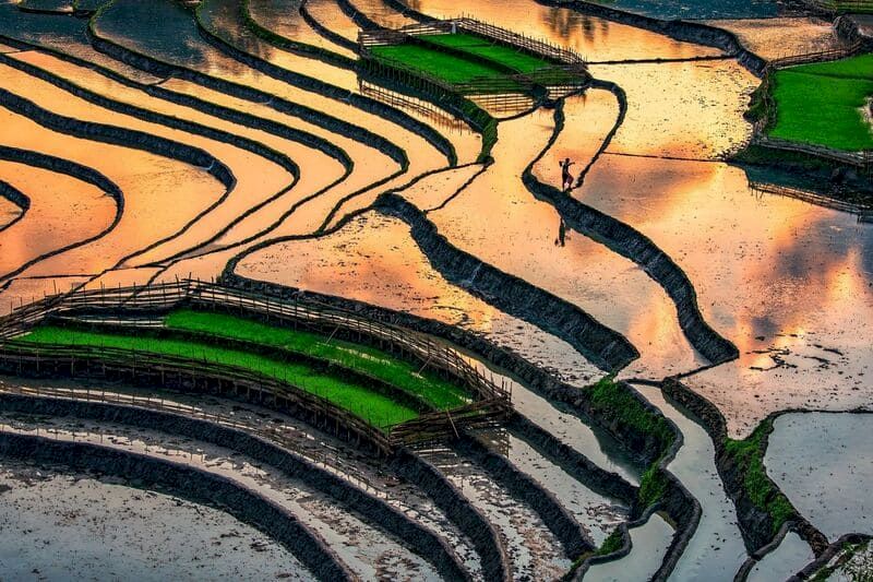 hoang su phi vietnam
