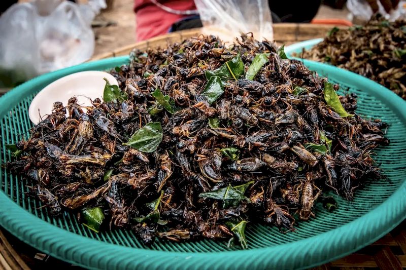 comida camboya