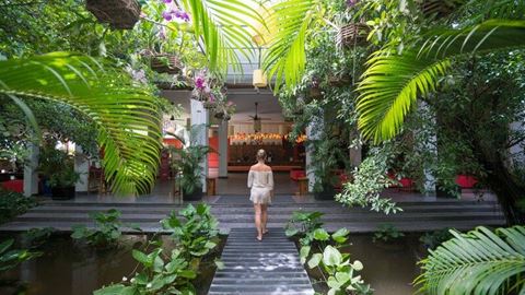 Hotel Tea House