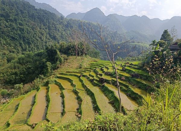 Maravilloso viaje a Vietnam en 2 semanas