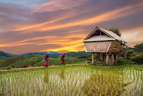 Tesoro del Norte de Tailandia en 10 días: Ruta cultural