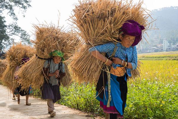 El trabajo de las mujeres del pueblo Pan Hou.