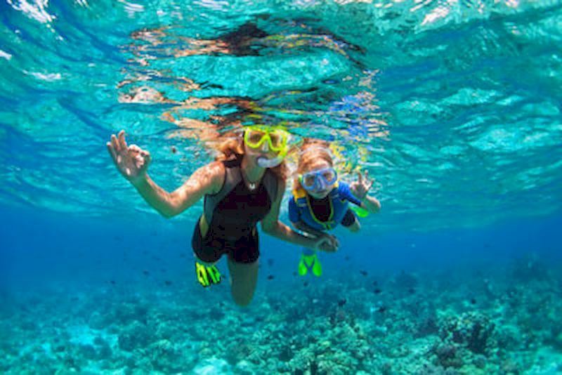 Experimenta el buceo para ver corales.