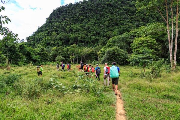 La randonnée a través de los bosques