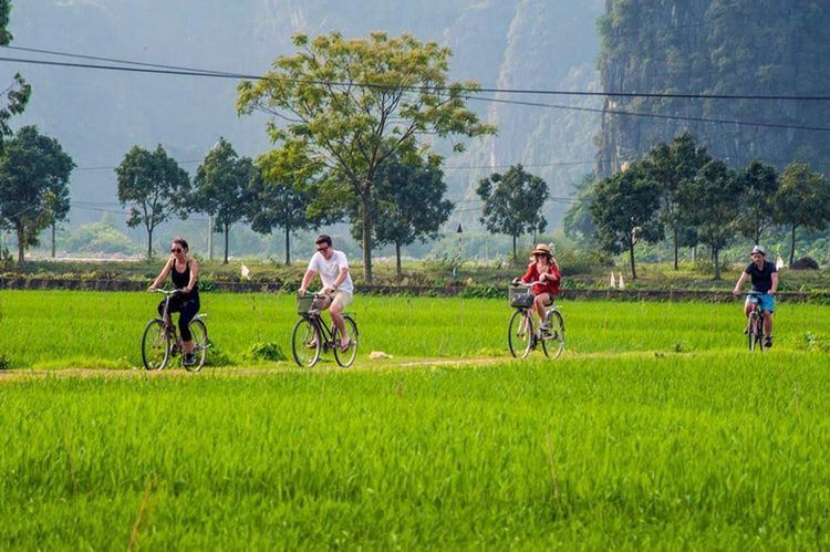 Disfrute la tranquilidad en los campos rurales